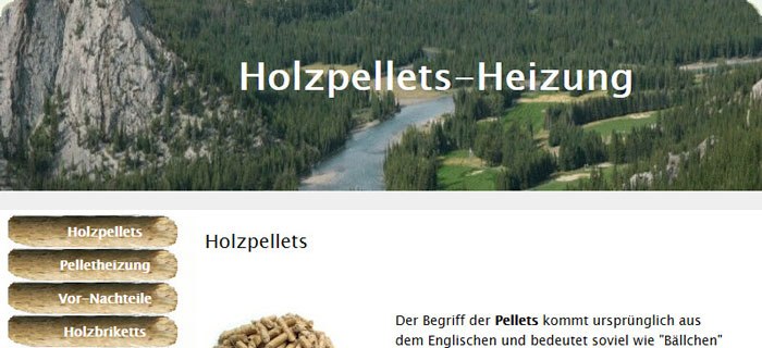 Heizen mit Holzpellets ist im Haushalt vieler Frauen sehr modern