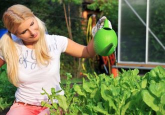 Viele Hobbygärtner schwören auf ein Hochbeet im eigenen Garten