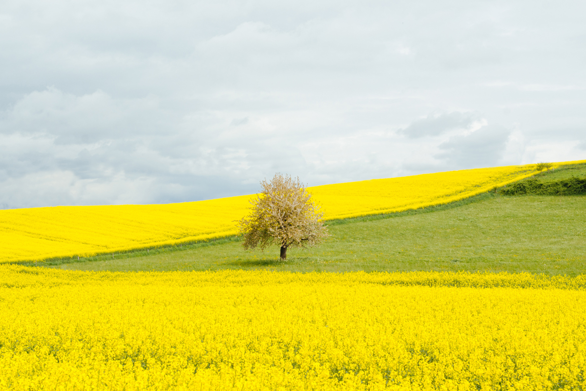 Günstig heizen mit einer Erdwärme-Heizung