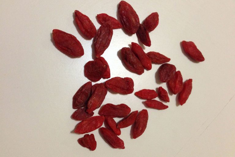 Titelbild zu „Mit Goji Beeren abnehmen – funktioniert das?“